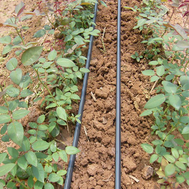 Drip Tape with Double Line for Irrigation 